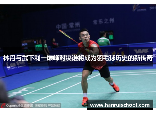 林丹与武下利一巅峰对决谁将成为羽毛球历史的新传奇